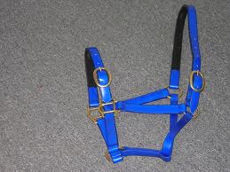 Weatherproof Efficiency: Horse PVC Bridle - Image 3