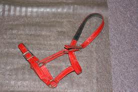 Weatherproof Efficiency: Horse PVC Bridle - Image 5